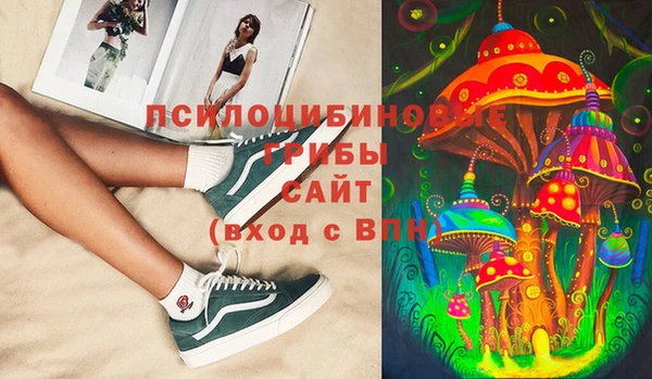 соль ск Вяземский