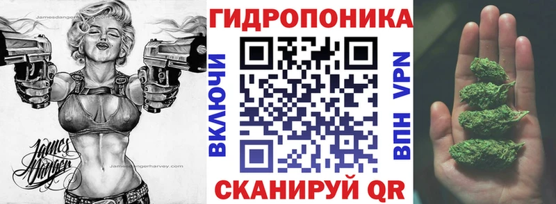 Бошки Шишки ГИДРОПОН  Дальнереченск 
